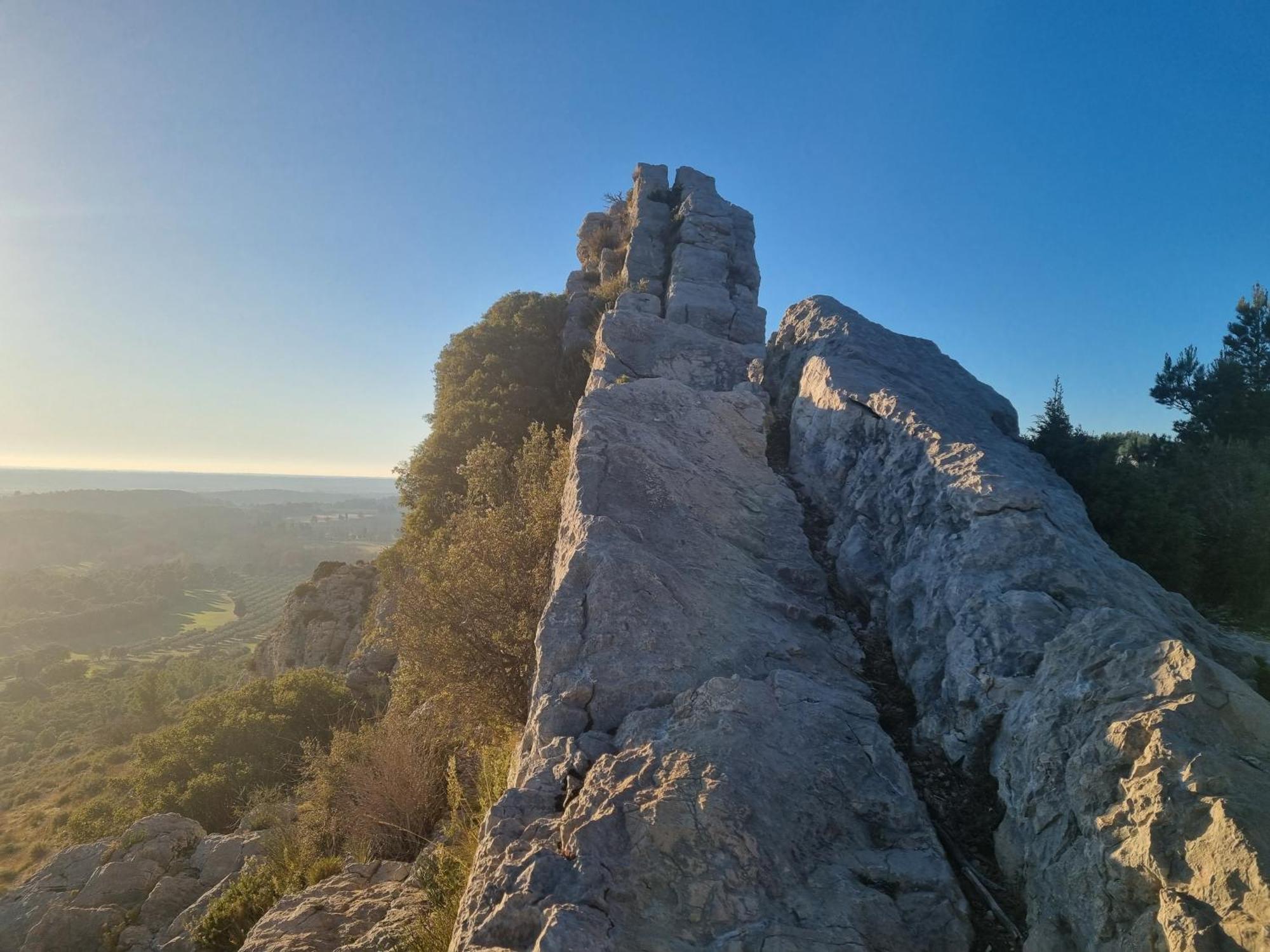 Les Garrigues De La Vallee Des Baux Paradou Exterior foto