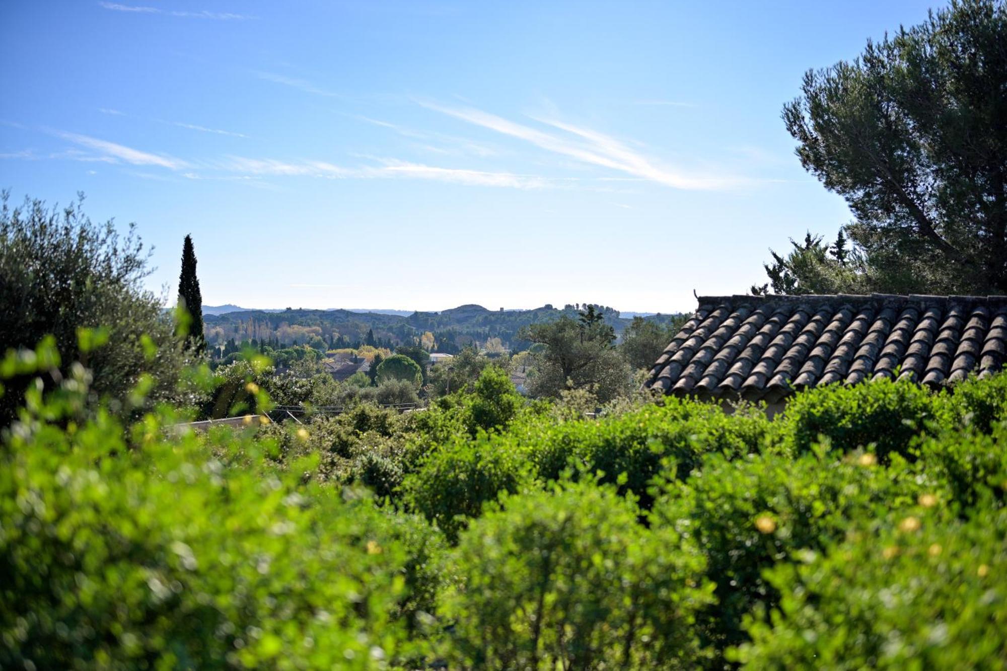 Les Garrigues De La Vallee Des Baux Paradou Exterior foto